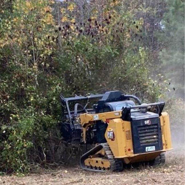 Cat 299D3LM With HM415  Mulcher
