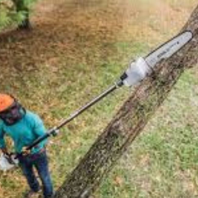 Pole saw